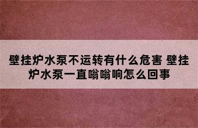 壁挂炉水泵不运转有什么危害 壁挂炉水泵一直嗡嗡响怎么回事